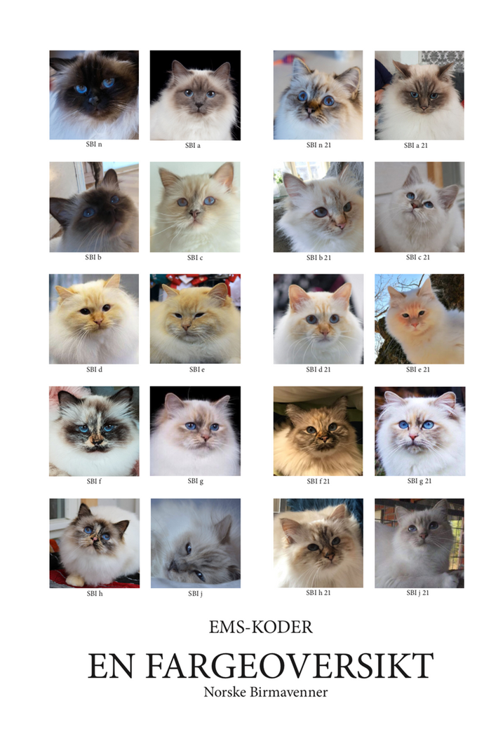 Vi takker alle eiere som har sendt inn bilder av sine katter!
